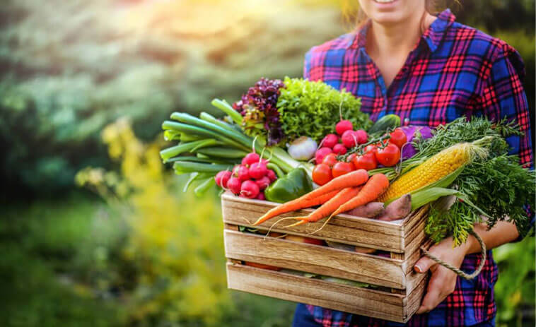 Lire la suite à propos de l’article La croissance à partir de rien : Favoriser la durabilité économique par l’agroalimentaire à Sutton